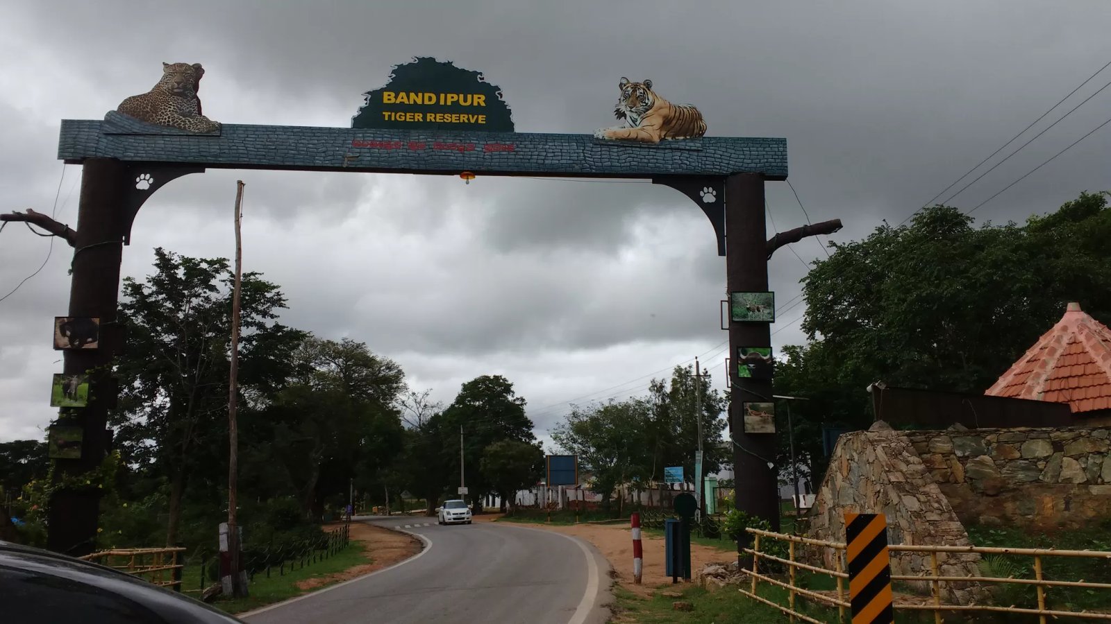 BANDIPUR NATIONAL PARK