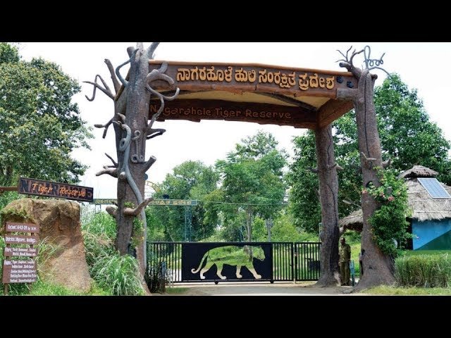 NAGARHOLE NATIONAL PARK